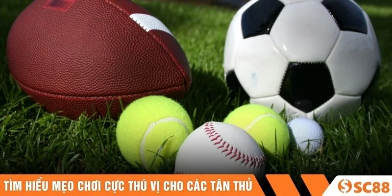 Tìm hiểu mẹo chơi cực thú vị cho các tân thủ